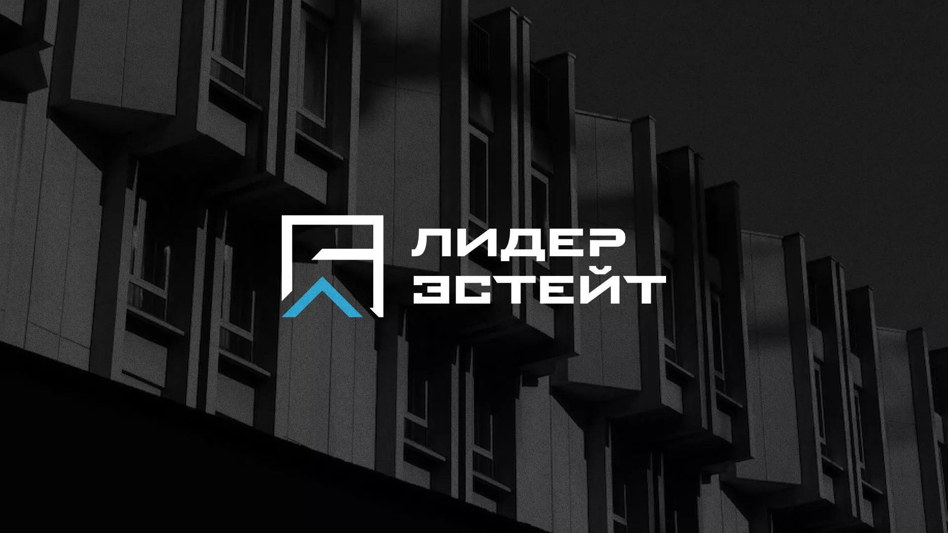 Разработка логотипа агентства недвижимости «Лидер Эстейт» в Дивногорске
